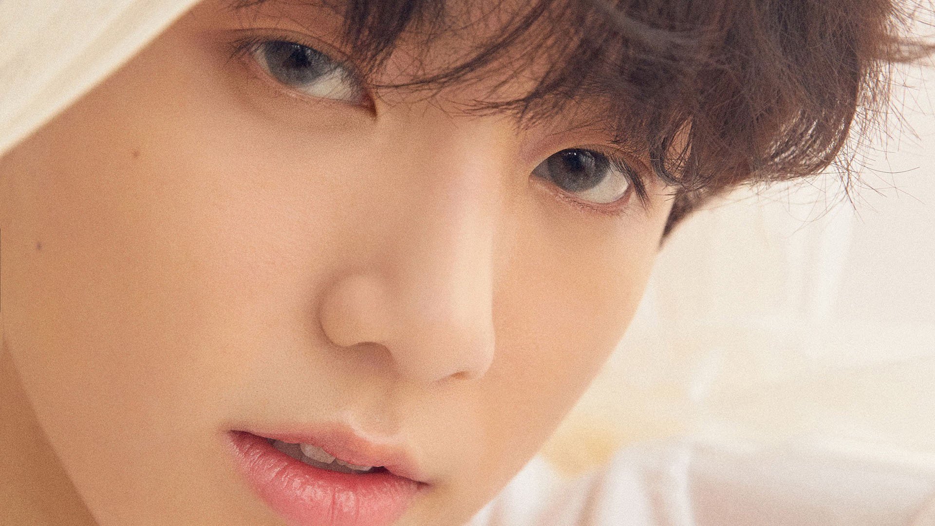 末节之王！哈利伯顿导演惊天逆转，黄蜂蛰伤辽宁的背后是何等硬核实力？