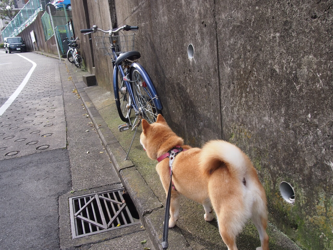 从洛杉矶弃子到纽约救世主，杜兰特亲手埋葬湖人王朝，尼克斯的逆袭密码